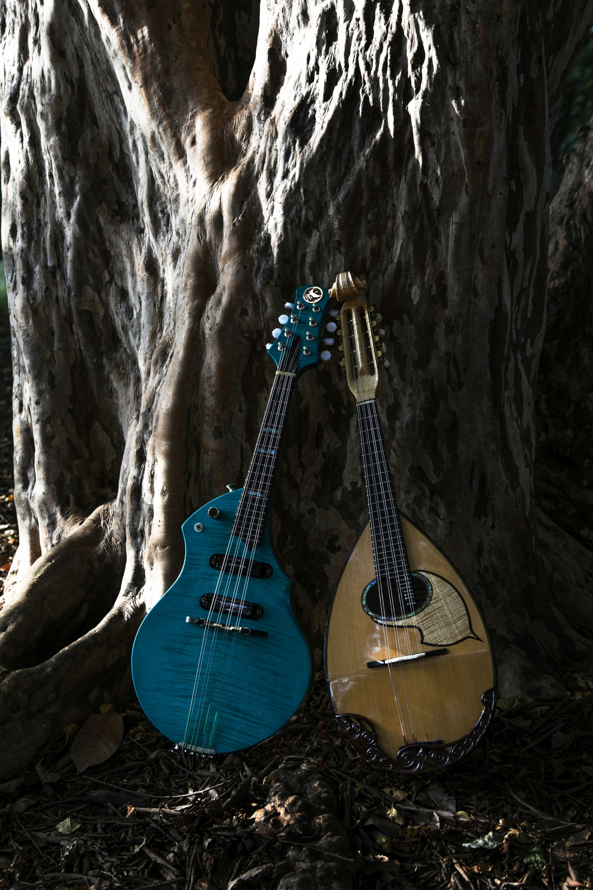 Masataka Hori Mandoline Instrument des Jahres Mandolinenspieler des Tages
