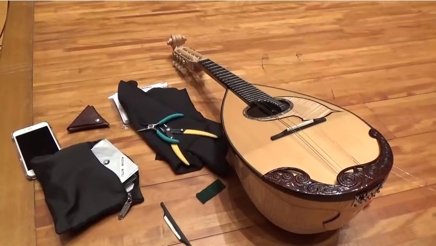 Masataka Hori Mandoline Instrument des Jahres Mandolinenspieler des Tages