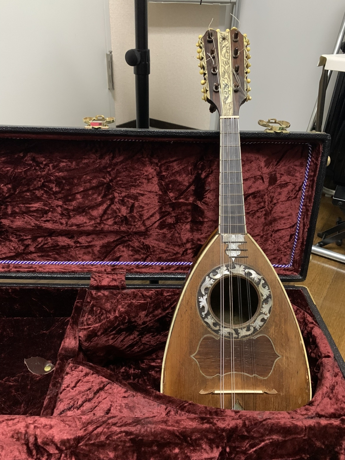 Ayako Kojima Mandoline Instrument des Jahres Mandolinenspieler des Tages