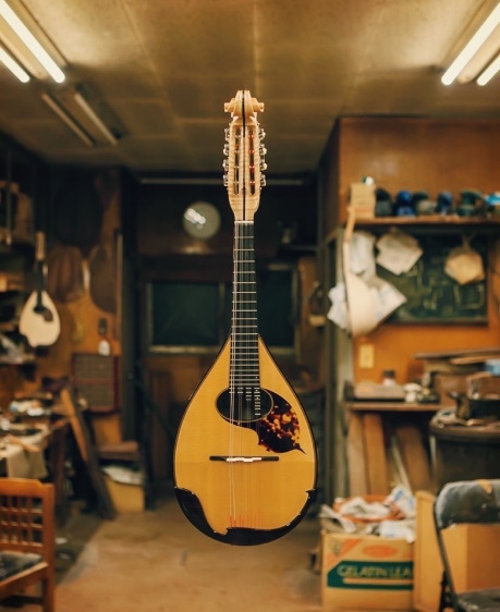 HK Kim  Mandoline Instrument des Jahres Mandolinenspieler des Tages