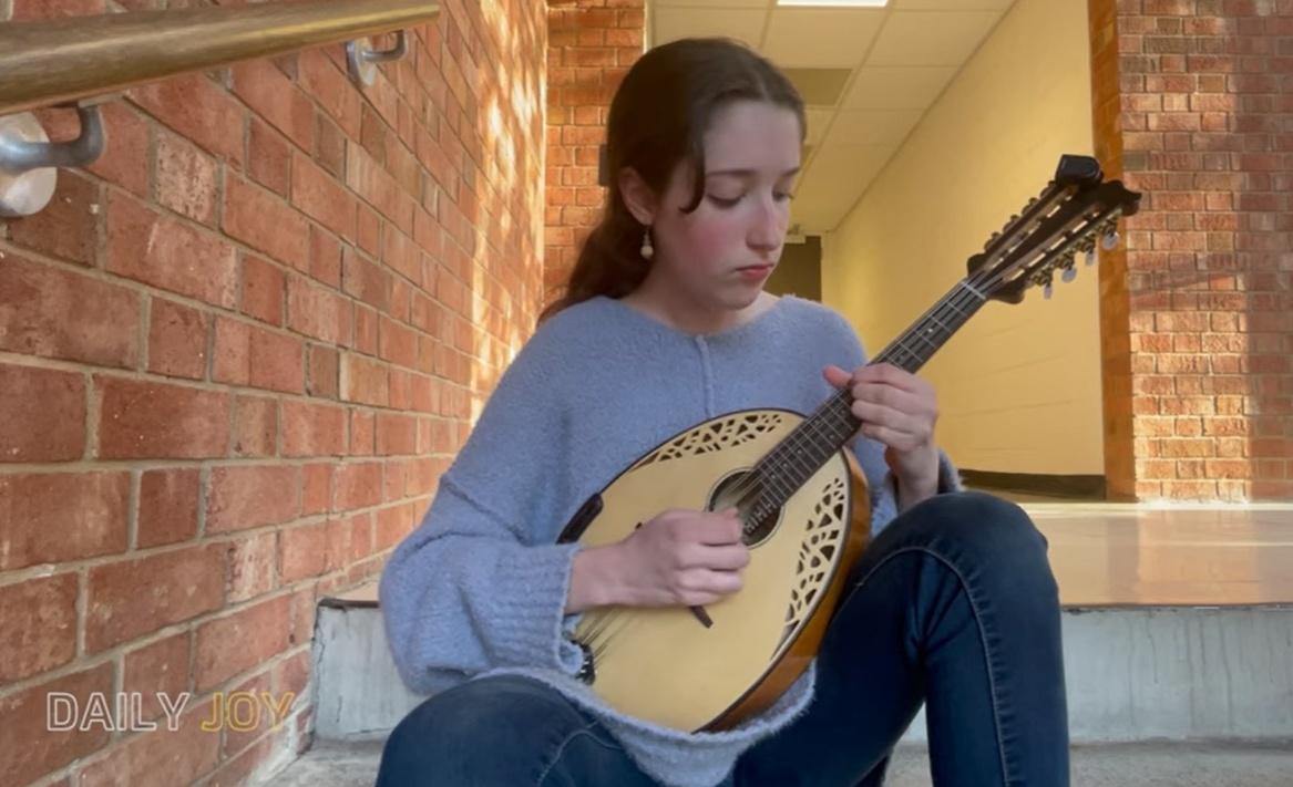 Carrera Stamile Mandoline Instrument des Jahres Mandolinenspieler des Tages