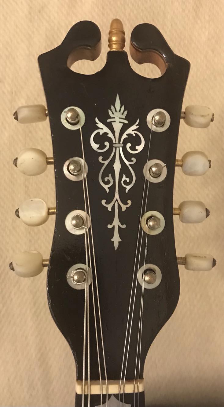 Aris Dimitriadis Instrument des Jahres Mandolinenspieler des Tages