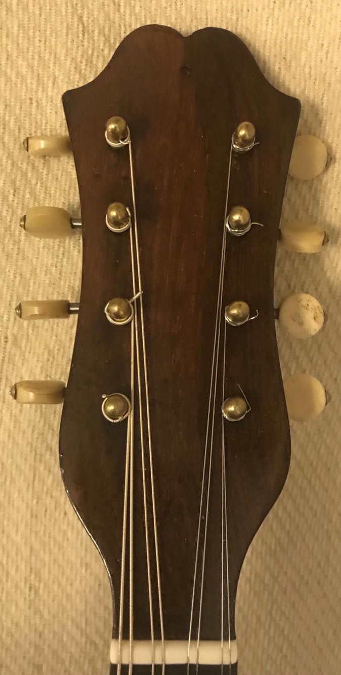 Aris Dimitriadis Instrument des Jahres Mandolinenspieler des Tages