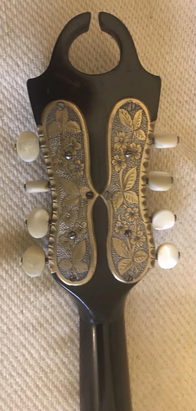 Aris Dimitriadis Instrument des Jahres Mandolinenspieler des Tages