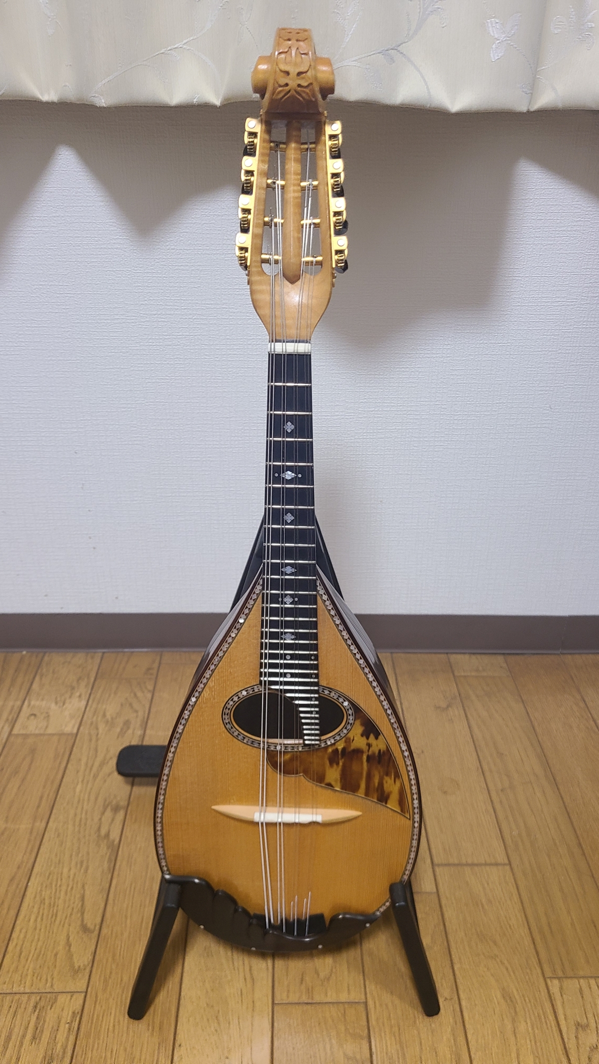 Chiaki Masukawa Instrument des Jahres Mandolinenspieler des Tages