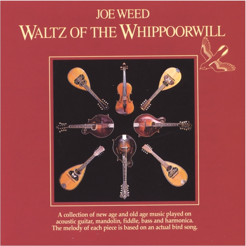 Joe Weed Mandolinenspielerin des Jahres Mandolinenspieler des Tages